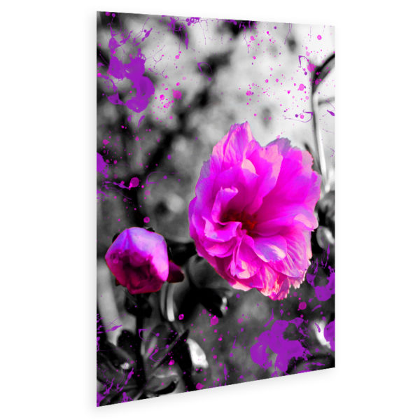 Irish Cherry Blossom wall art poster