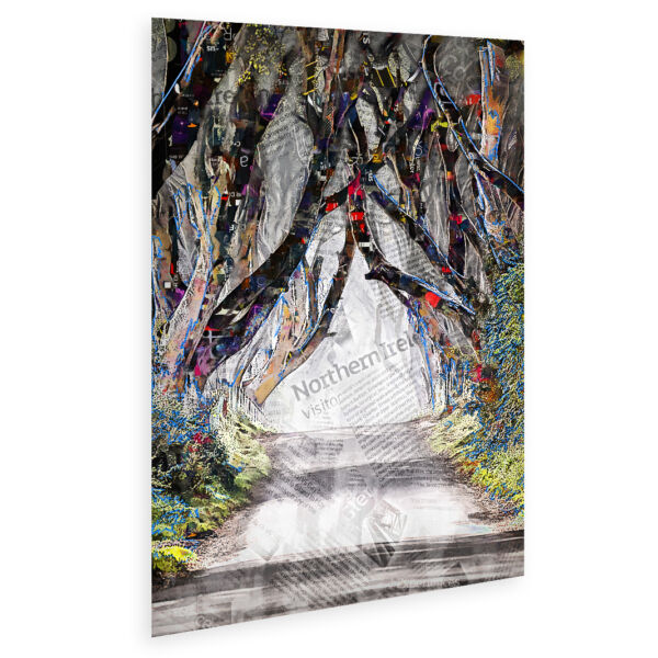 The Dark Hedges Tourist Info Collage Poster sized A2