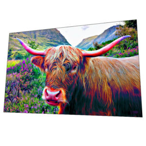 Highland Cow of Scotland "Highland Boy" Wall Art – Graphic Art Poster