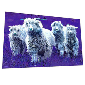 Funky animals "Quirky sheep" Wall Art – Graphic Art Poster